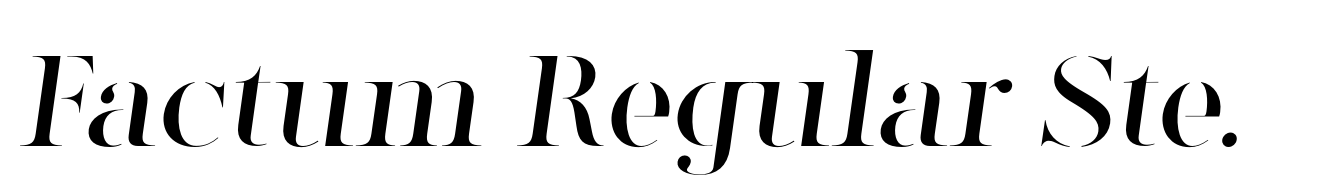 Factum Regular Stencil Oblique